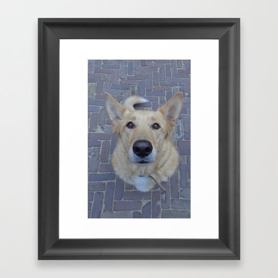 Treat? Framed Art Print