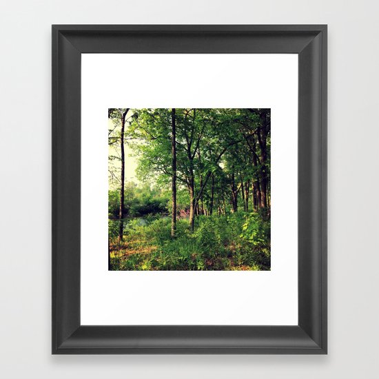 Nature Framed Art Print
