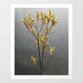 A Plant I Laughed And Cried Next To Art Print