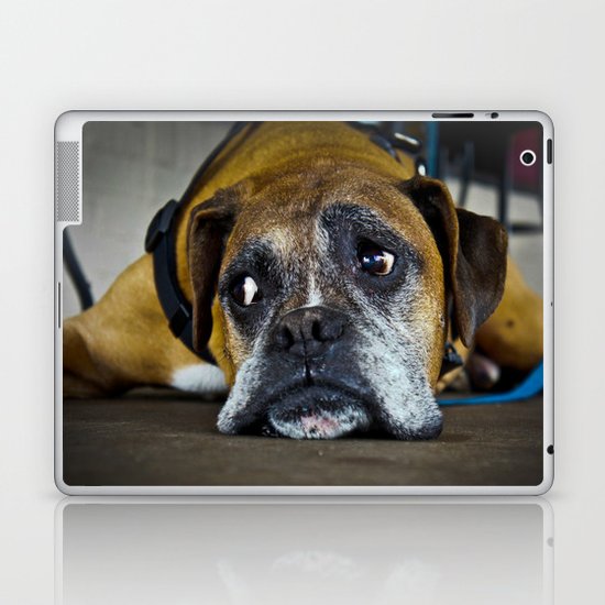 curious doggy Laptop & iPad Skin