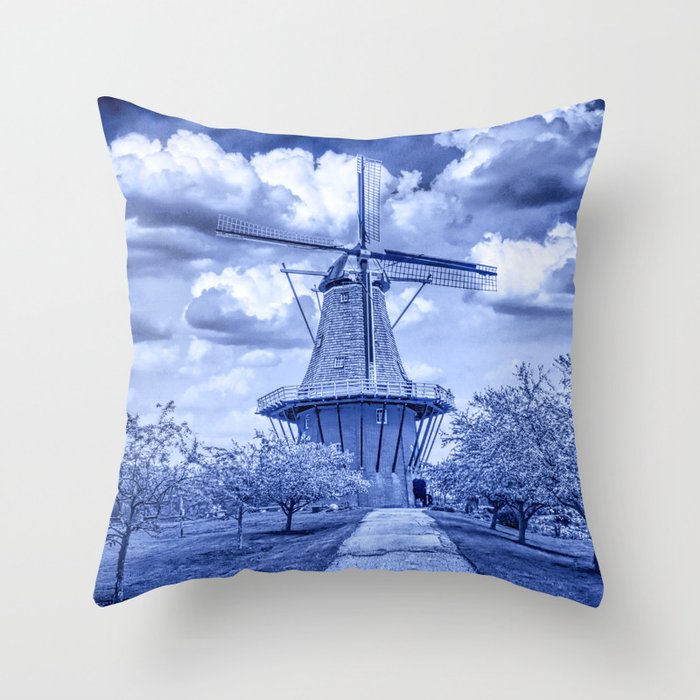 Throw Pillow
