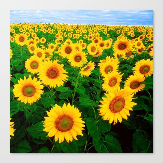 Sunflower art decoration ideas best design Canvas Print