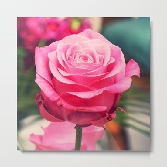 Elegant pink rose Metal Print