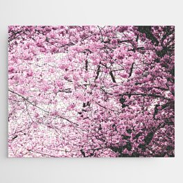Cherry Blossom Beauty Jigsaw Puzzle