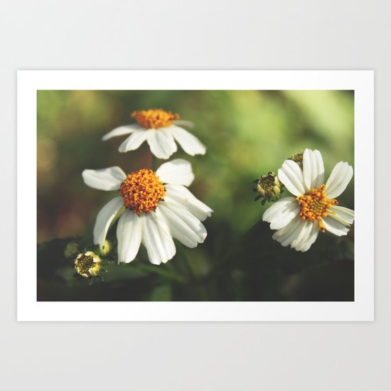 Of Fairies and Tales Art Print