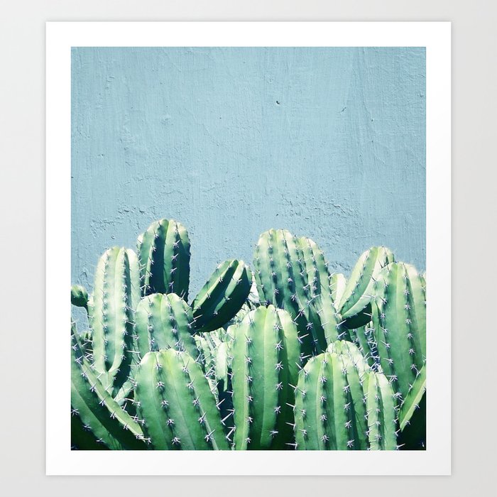 Cactus Amp Teal Society6 Decor Buyart Art Print By