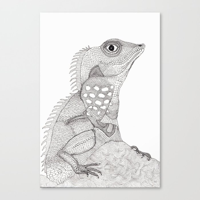 lizard Canvas Print