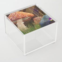 Fairy Forest Acrylic Box