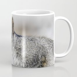 Wet paw Squirrel Coffee Mug