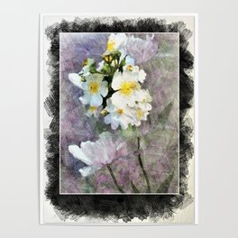 Portrait of a Wild Rose Poster | Color, Outdoorfurniture, Cards, Digital, Comforters, Digital Manipulation, Posters, Tugs, Mugs, Photo 