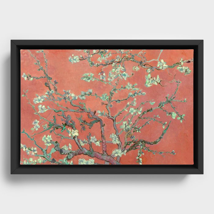 Framed Canvas