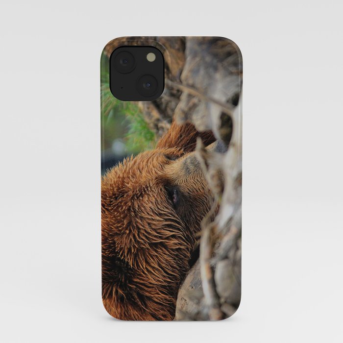 Kodiak Bear iPhone Case