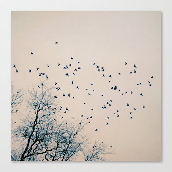 Restless Canvas Print