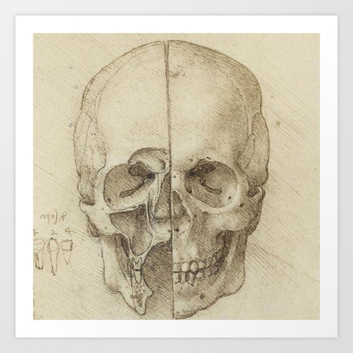 Skull - Leonardo Da Vinci Art Print