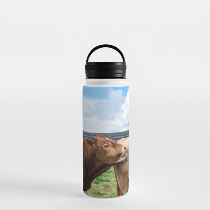 Cow Friends Water Bottle