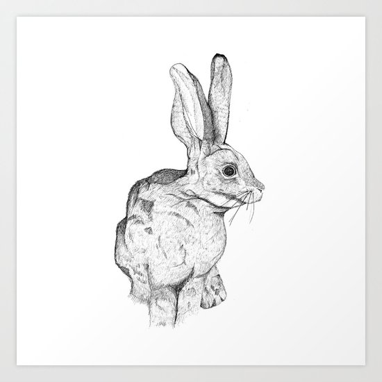 Bushman Hare Art Print