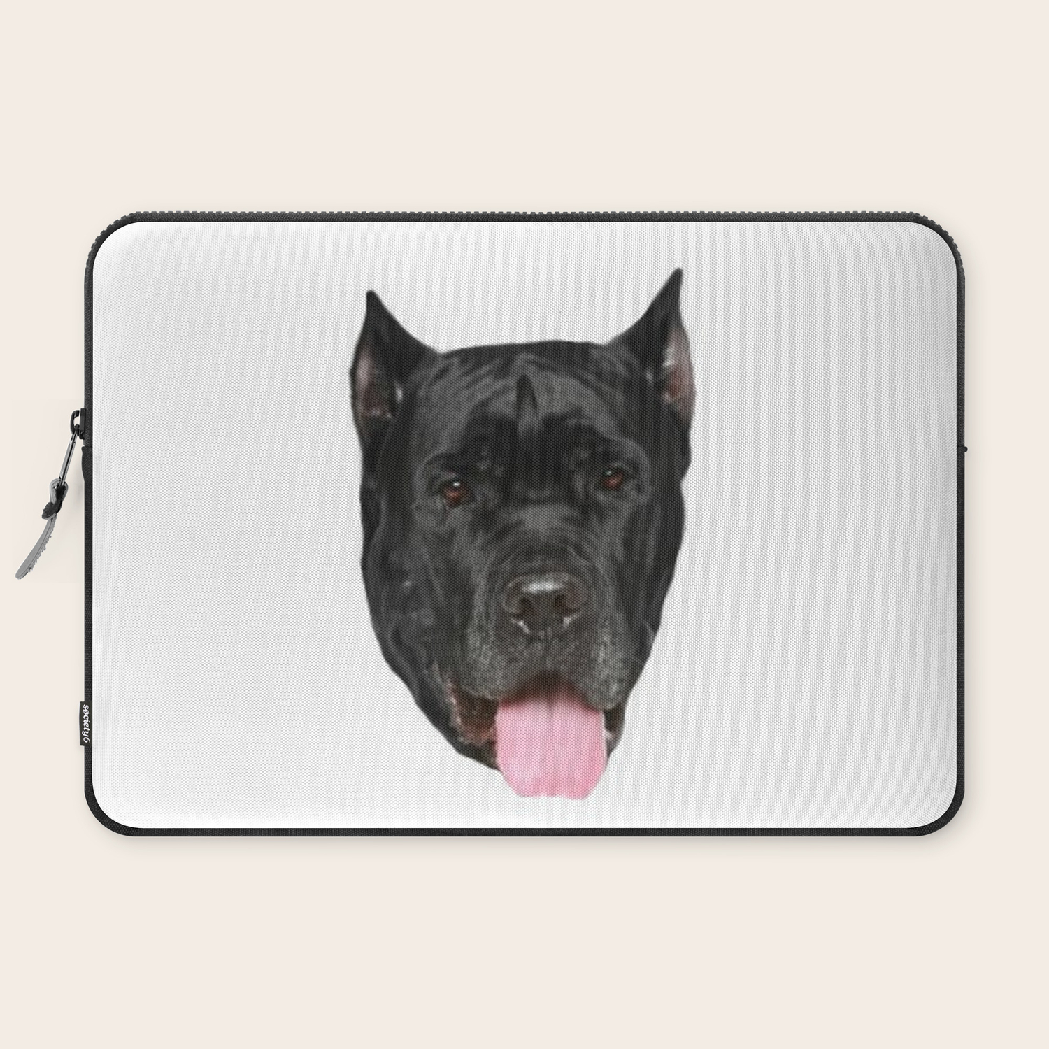 society6