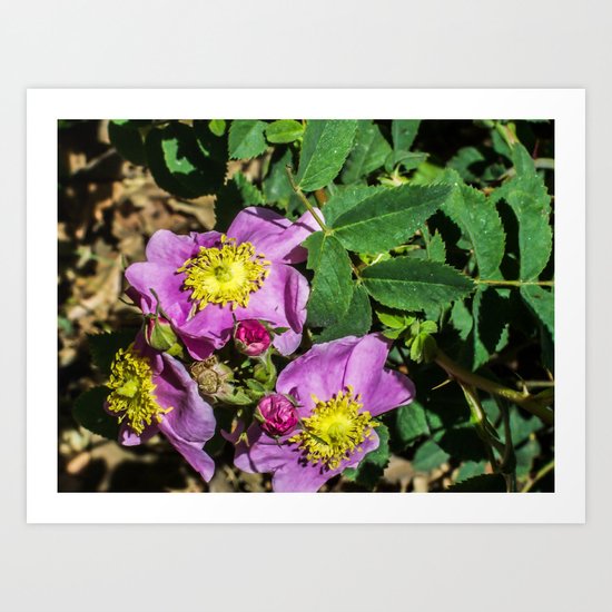 purple flowers Art Print