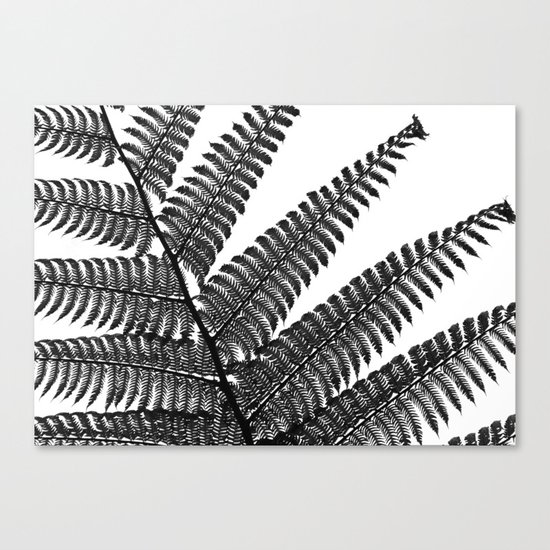 Cyathea I Canvas Print
