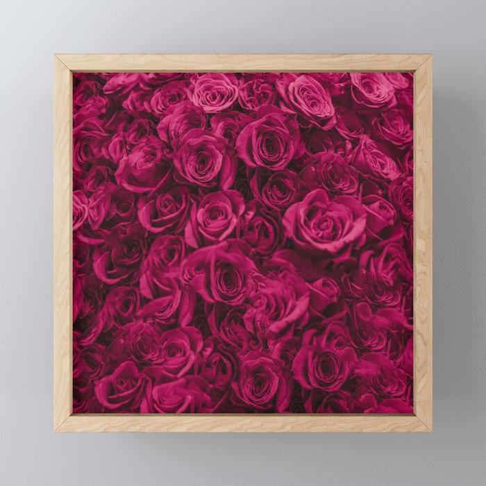 Pink Roses Framed Mini Art Print