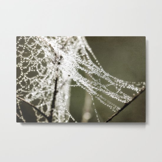 the work of a spider Metal Print
