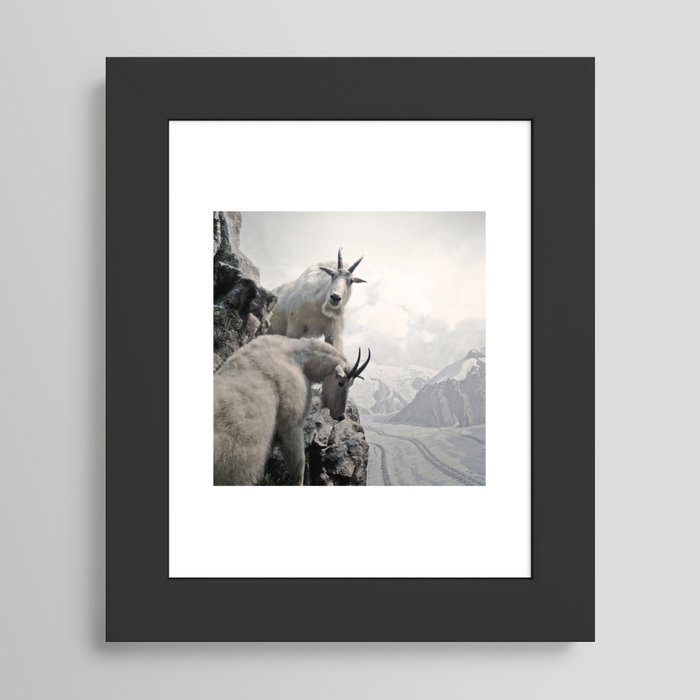 Framed Art Print