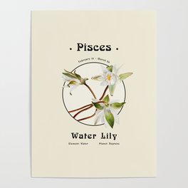 Pisces & Water Lily - Flowers of the Zodiac Poster