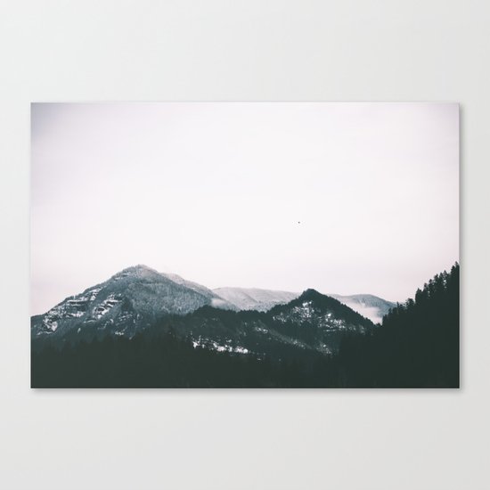 Winter III Canvas Print