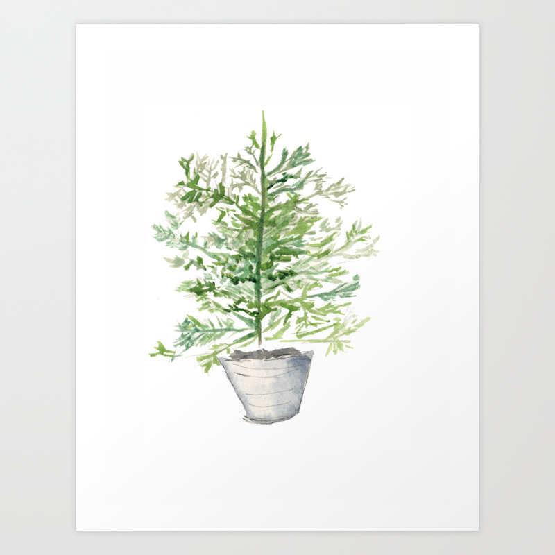 Christmas Tree In Galvanized Bucket Art Print By Ddsilverpennies