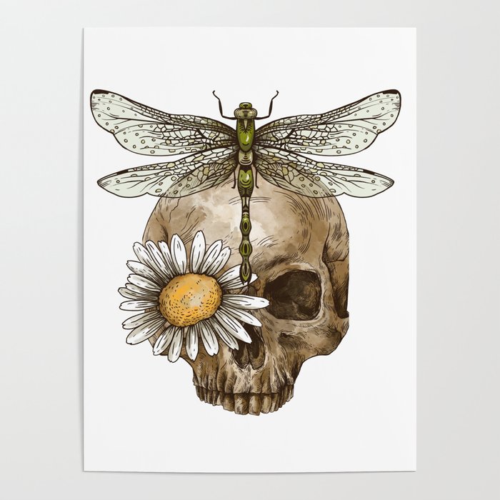 Vintage Skull & Dragonfly Poster