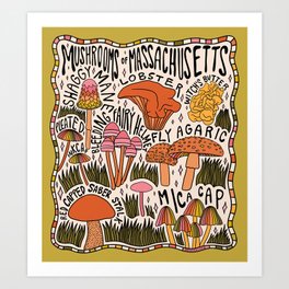 Mushrooms of Massachusetts Art Print