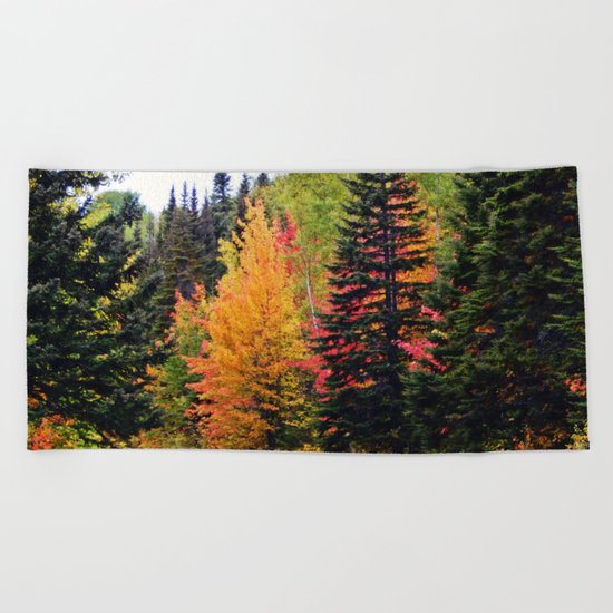 Deep in the Forest (Fall Colors) Beach Towel