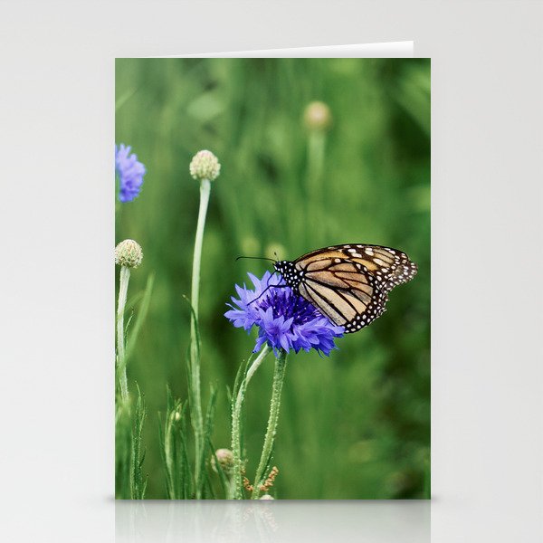 Butterfly in the Flowers Stationery Cards