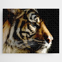Close-up of Sumatran tiger on a black background Jigsaw Puzzle
