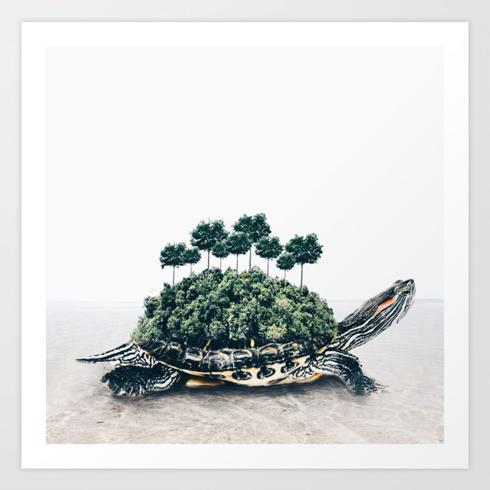 Giant Turtle Art Print