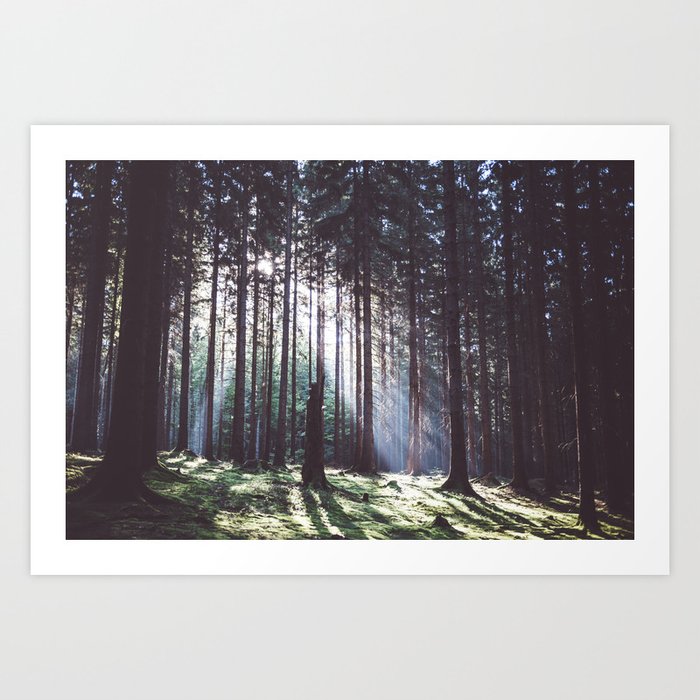 Magic forest - Landscape and Nature Photography Art Print