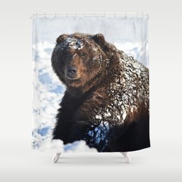 Alaskan Grizzly in Snow Shower Curtain