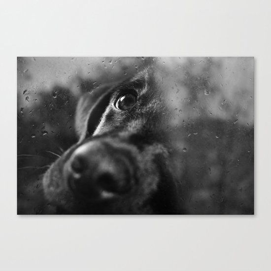 dog Canvas Print