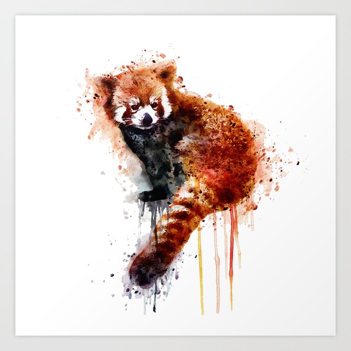 Red Panda Art Print By Marianvoicu Society6