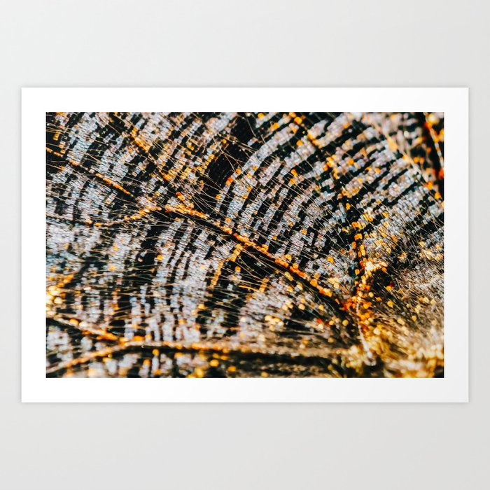 Monarch Butterfly Wings Abstract Background Butterfly Wing