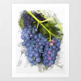 Concord grape Art Print
