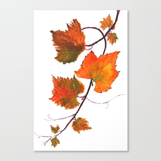 grapevine in autumn Canvas Print