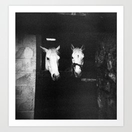 Two Cute Irish Horses in a Barn - Black and White Film Photograph Art Print