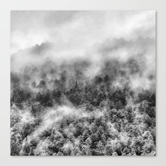 "Mountain light III BW". Foggy forest. Canvas Print