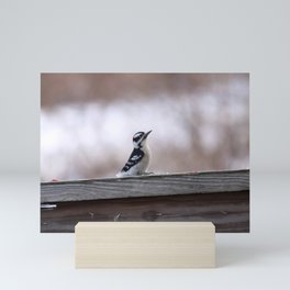 Mini Woodpecker (photography) Mini Art Print