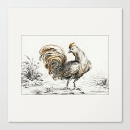 Rooster by Jean Bernard Canvas Print