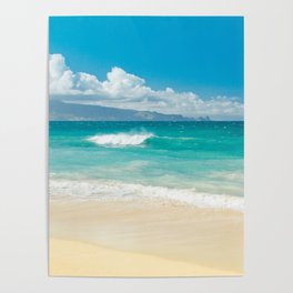 Hawaii Beach Treasures Poster