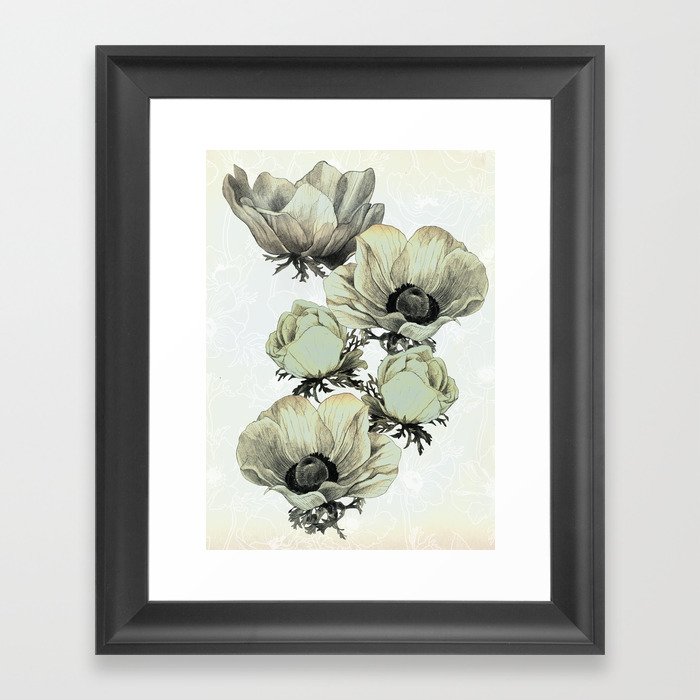anemone flowers (white background) Framed Art Print