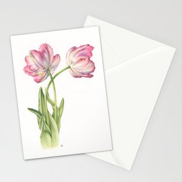 Blushing Parrot Tulips Stationery Cards