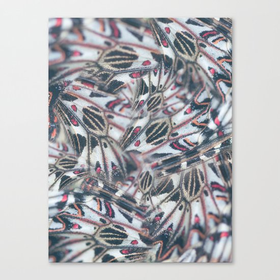 Butterflies Print Canvas Print
